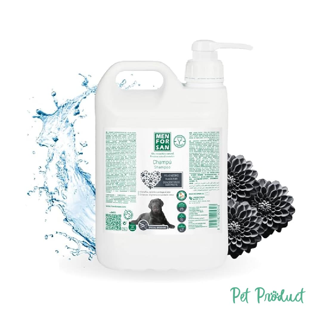 Men For San Shampooing Poil Noir 5 litres