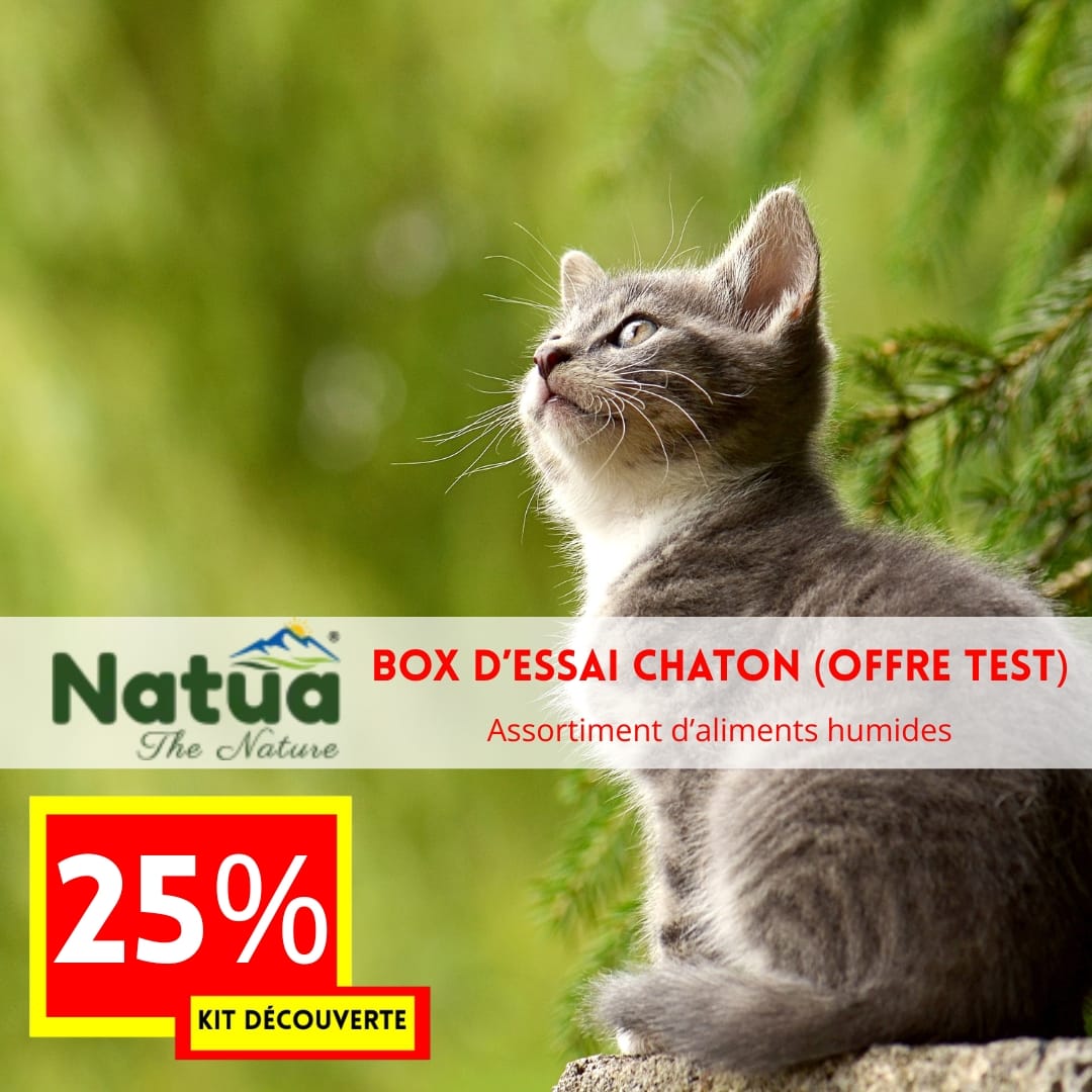 OFFRE DECOUVERTE 2025 Kit de produits chaton -25% (offre test NATUA)
