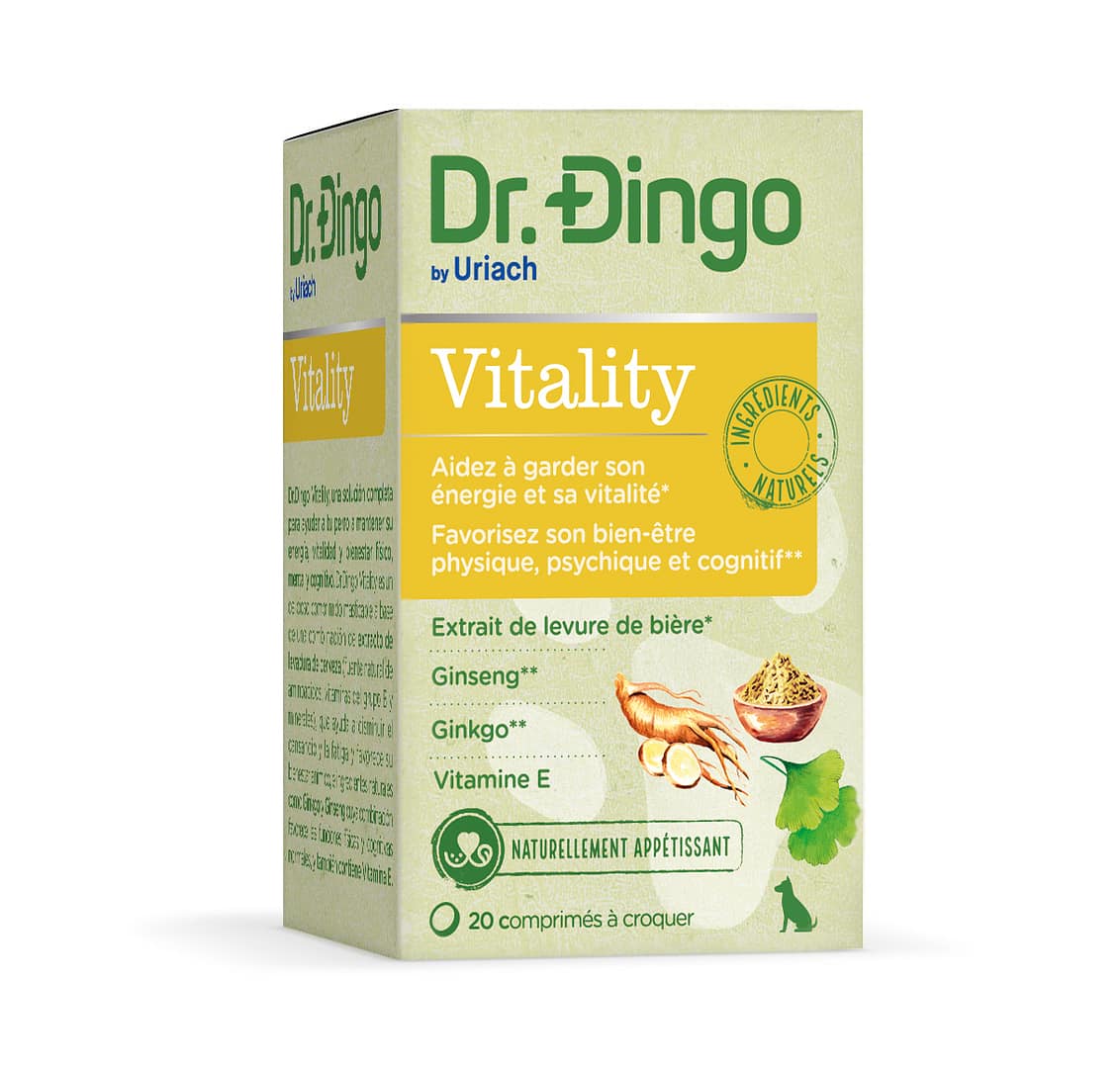 Dr Dingo Vitality (20 Comprimés)