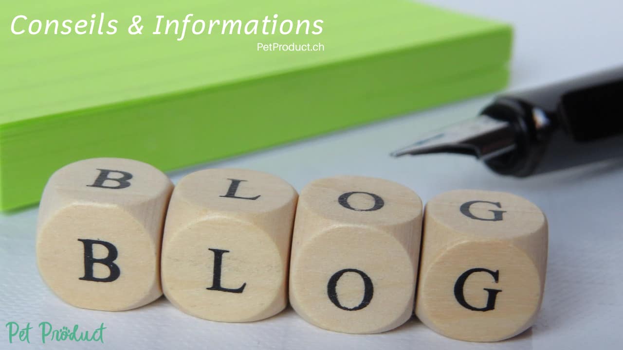 template (33) template (33)