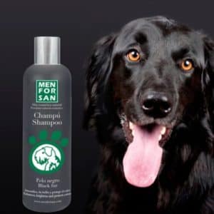 Men For San Shampooing Poil Noir – Image 2