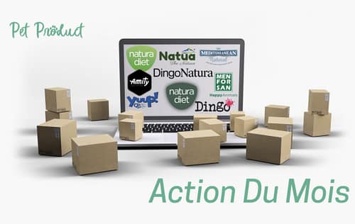 Action fevrier 2024