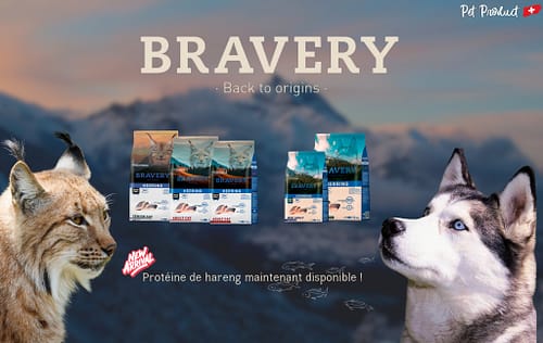 Nouveau Aliment Bravery en Suisse: Croquettes Mono-protéine au Hareng pour Chiens et Chats