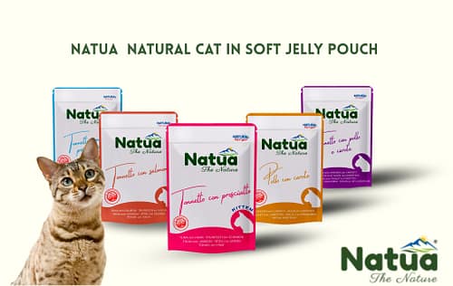 Alimentation pour chat “Soft jelly” pourquoi vos chat les adorent !
