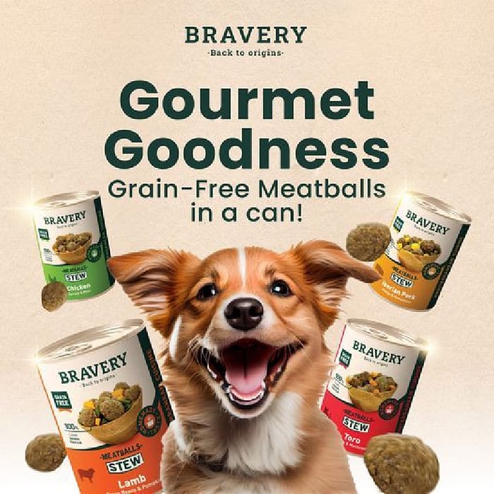 Bravery Dog Wet MeatBalls Boulettes de viande Agneau, Haricots Verts & Citrouille – Image 3